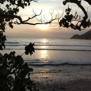 Rohimah 294 profile icon