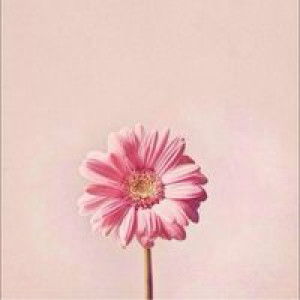 Nurul Hikmah profile icon