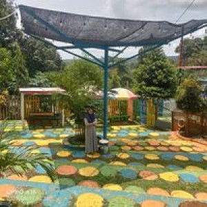 Atifah Irfan profile icon