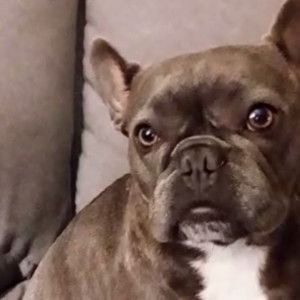 Ladda Pholyiam profile icon