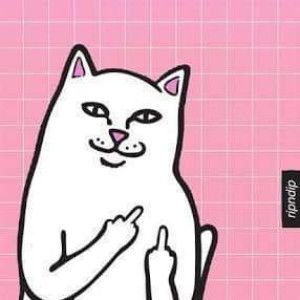 aida meow profile icon