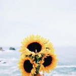 Dayang Alwani profile icon