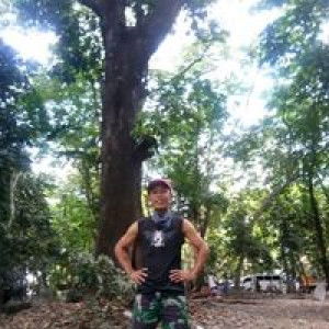 Jm Parola profile icon