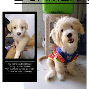 Eteñac Memeh profile icon