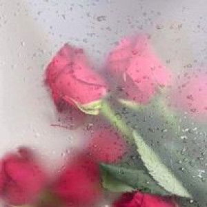 Eima Said profile icon