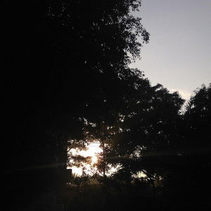 Puspita profile icon