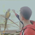 Natthaphong Phumcharen profile icon