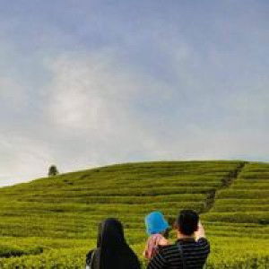 Lina Eliza profile icon