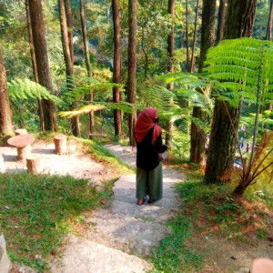 Indriyani profile icon