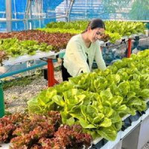 Jaja Lalita Tayunram profile icon