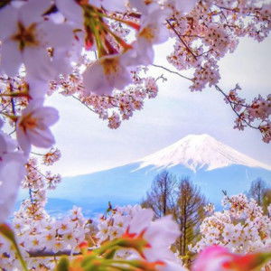 gustinah s profile icon