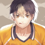 Vinsmoke profile icon