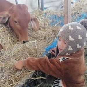 Momfoung N'kueakun profile icon