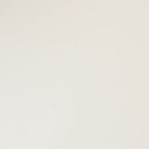 Bunnytail profile icon