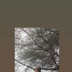 Cece Reog profile icon