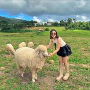 พลอย พลอย profile icon