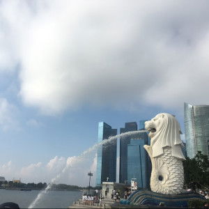 cui zhang profile icon