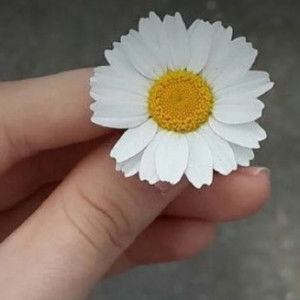 m lukhah profile icon