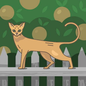 Iniarindaarin profile icon