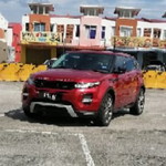 Alin Mahmood profile icon