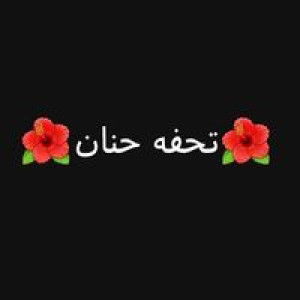 Nadhifa Syakir profile icon