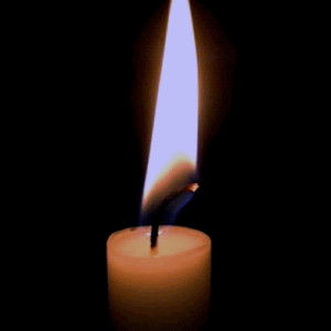 Anissa putri profile icon