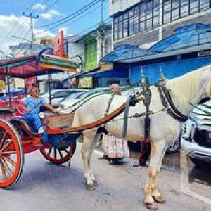 Opi Shakel profile icon