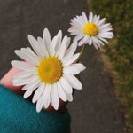 Nik Nur Amirah Binti Nik Ahmad profile icon