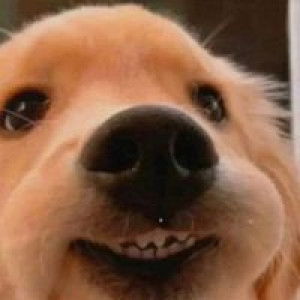 Liuli Pimsuda profile icon