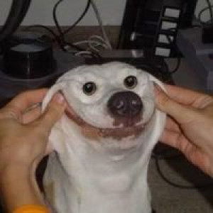 เขมร'รร น้อย'ยย profile icon