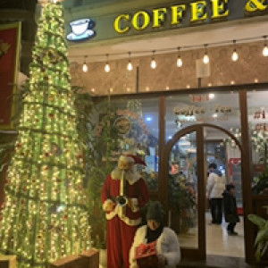 Trúc Trúc profile icon