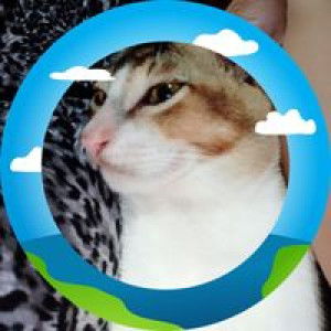 Merni Fitria profile icon