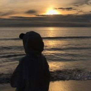 A'anusara Sani profile icon