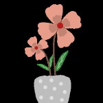 Diani profile icon