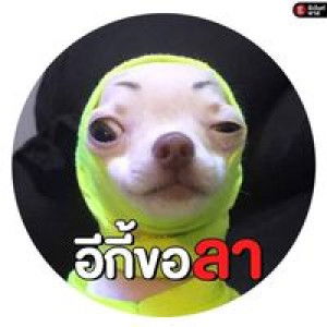 Pukkee Pukkee profile icon