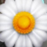 AenAffaf profile icon