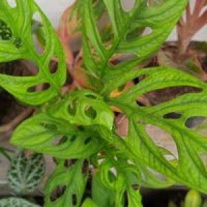 Beuty On Beuty profile icon