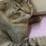 Nurul Azwadi profile icon