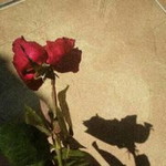 Vika AmaLia profile icon