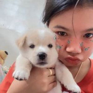 Namthip Budwang profile icon