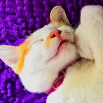 Nur Athirah profile icon