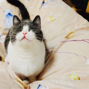 ดาด้า profile icon