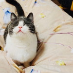 ดาด้า profile icon