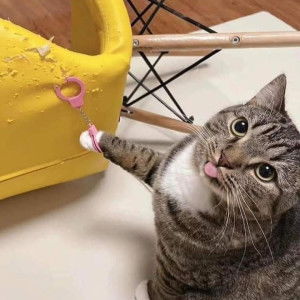 Melly Hazelina profile icon