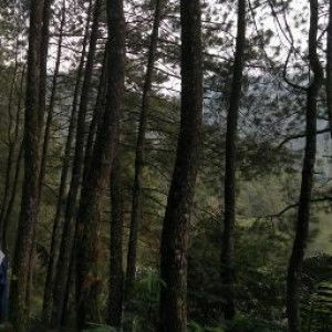 Endang Yunita Sundari profile icon