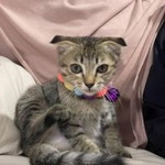 มะ' ปราง. profile icon