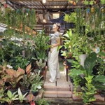 Tan Phattharaporn profile icon