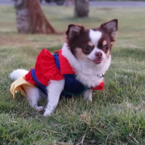 EllMana profile icon