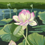 Nutcha Kempest profile icon