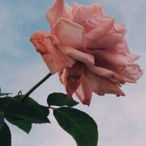 Emilia Rizky profile icon